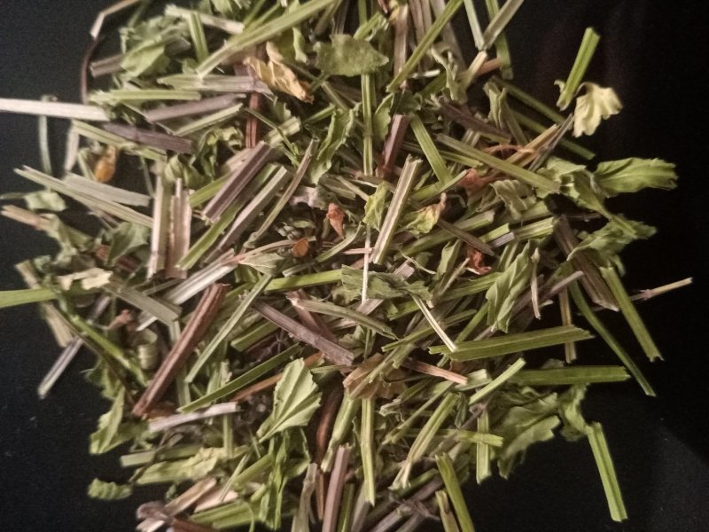 半枝莲经营各种草药品种多没上传完有需要联系我
