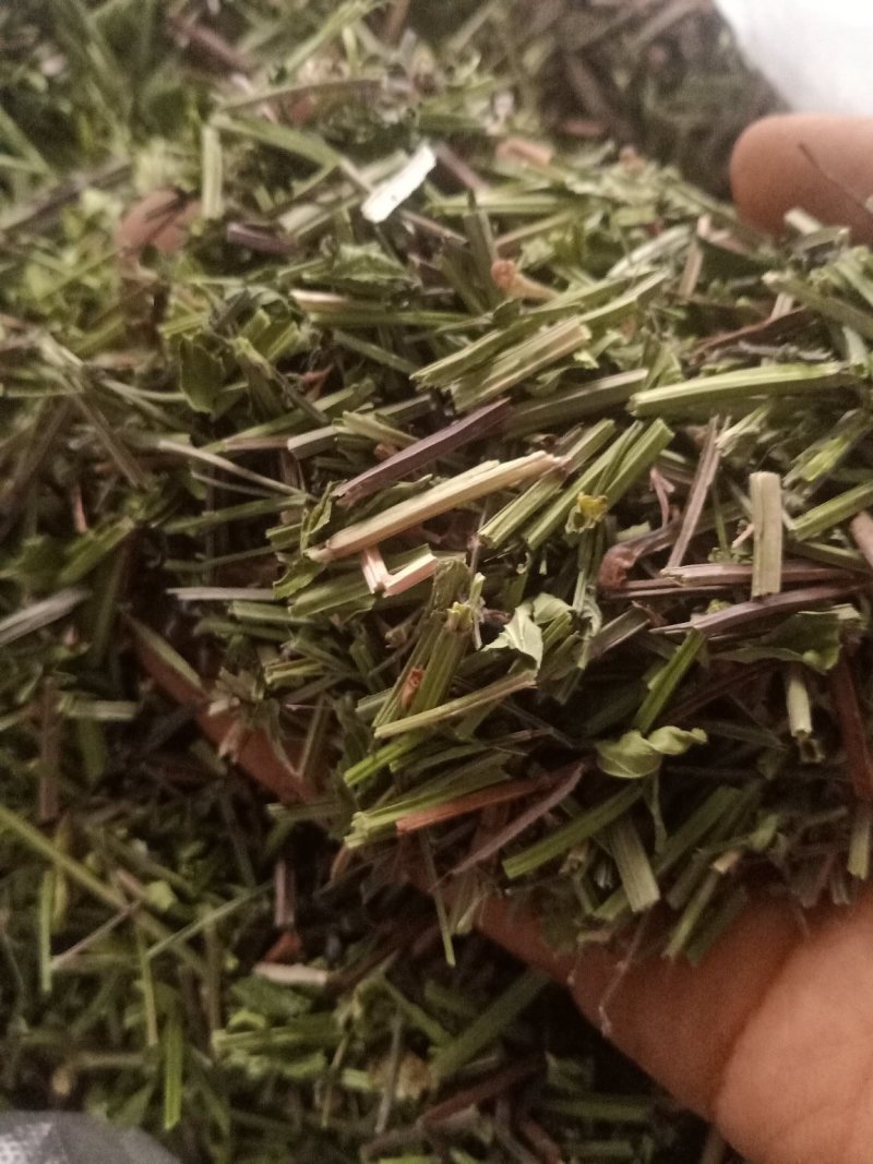 半枝莲经营各种草药品种多没上传完有需要联系我