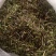半枝莲经营各种草药品种多没上传完有需要联系我