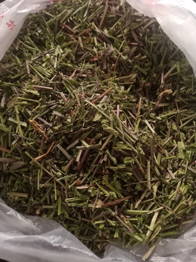 半枝莲经营各种草药品种多没上传完有需要联系我