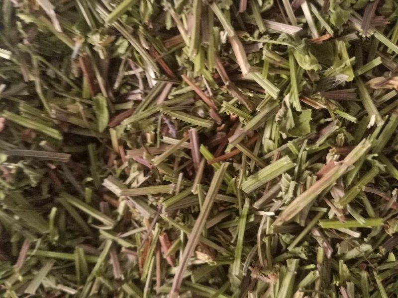 半枝莲经营各种草药品种多没上传完有需要联系我