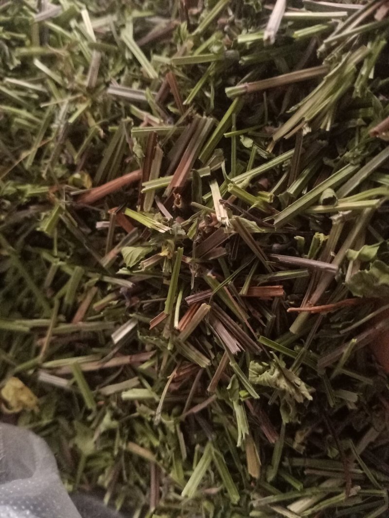 半枝莲经营各种草药品种多没上传完有需要联系我