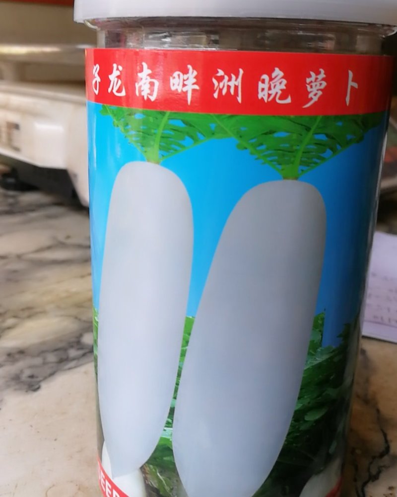 南畔洲晚萝卜，大萝卜。