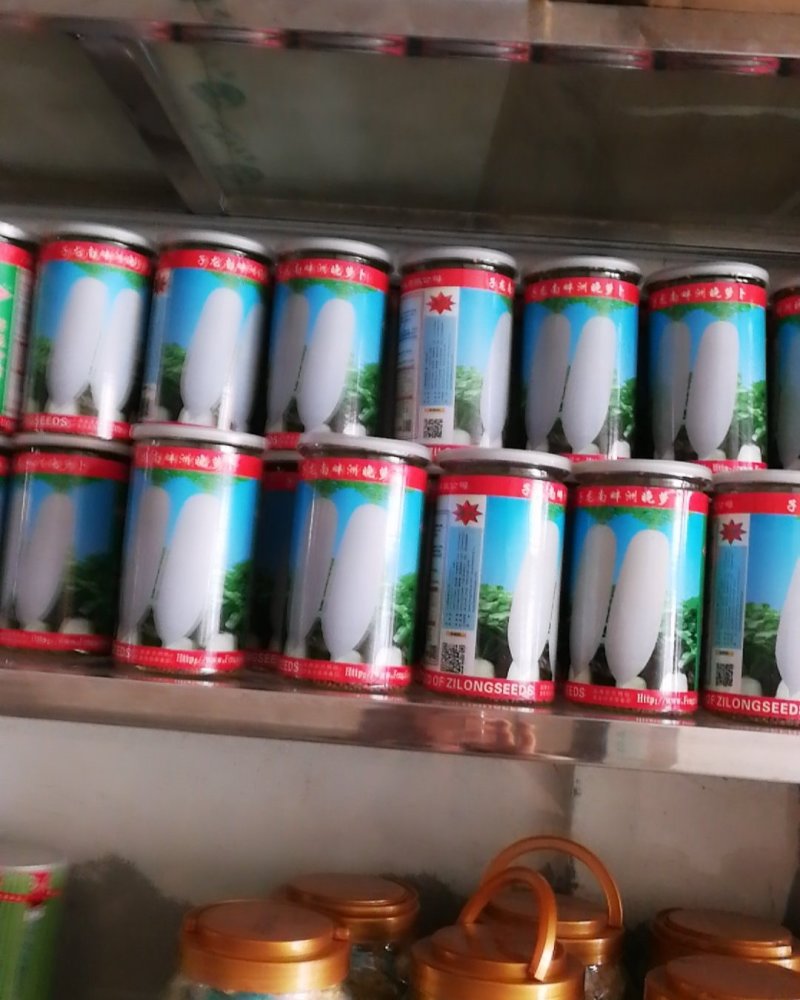 南畔洲晚萝卜，大萝卜。