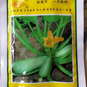 西葫芦一代杂种产量高，抗病耐寒。