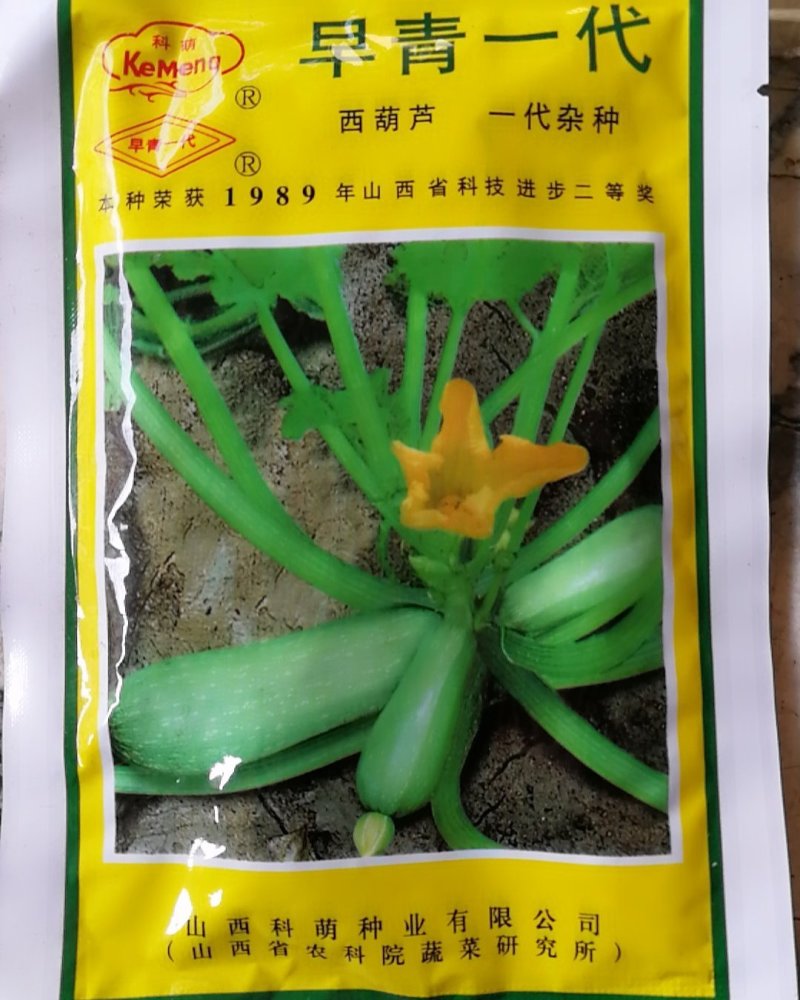 西葫芦一代杂种产量高，抗病耐寒。