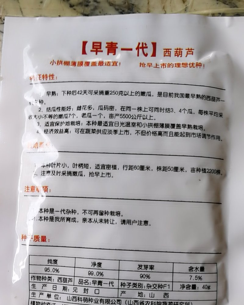西葫芦一代杂种产量高，抗病耐寒。