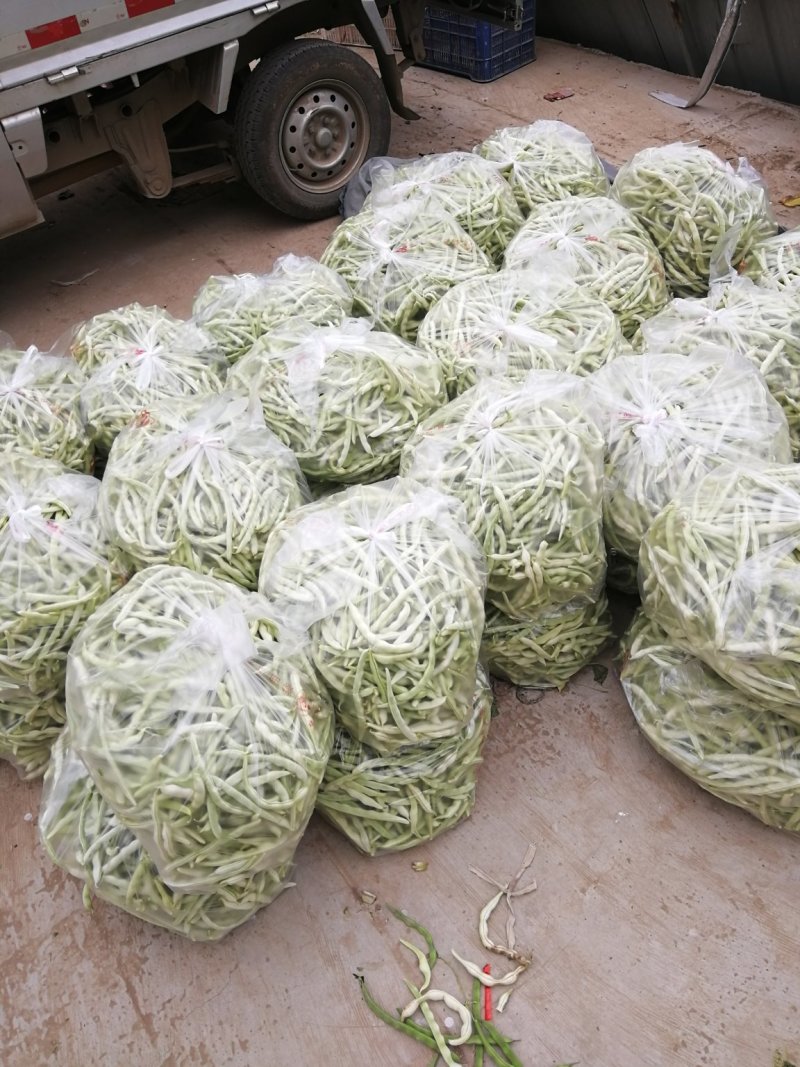 白不老豆角大量上市中，欢迎各位新老顾客前来选购