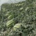【陕西蒲城无籽西瓜】万亩直播苗大量上市中【金城5号西瓜
