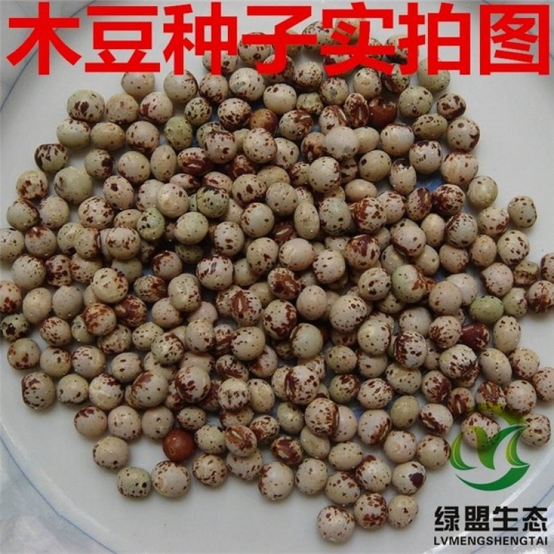 木豆、灌木、护坡，四季常青故土效果非常好