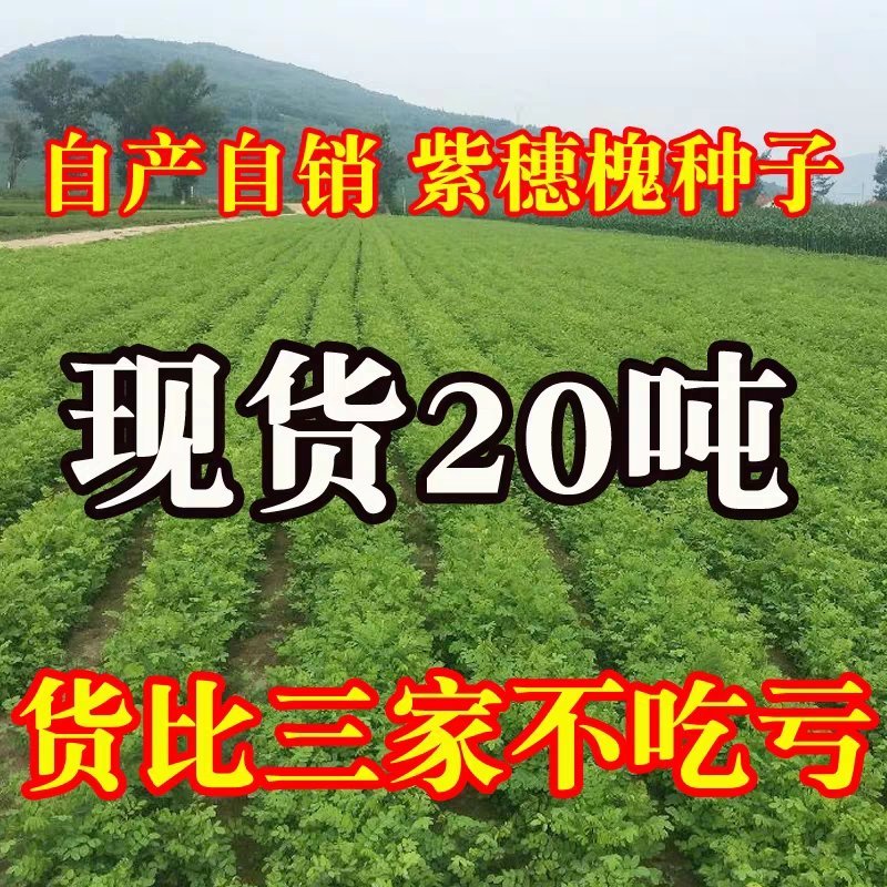 木豆、灌木、护坡，四季常青故土效果非常好