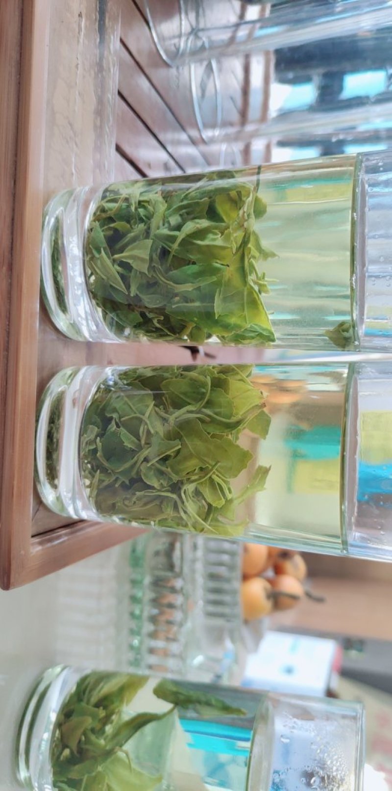 贵州朵贝茶2020新茶一件代发