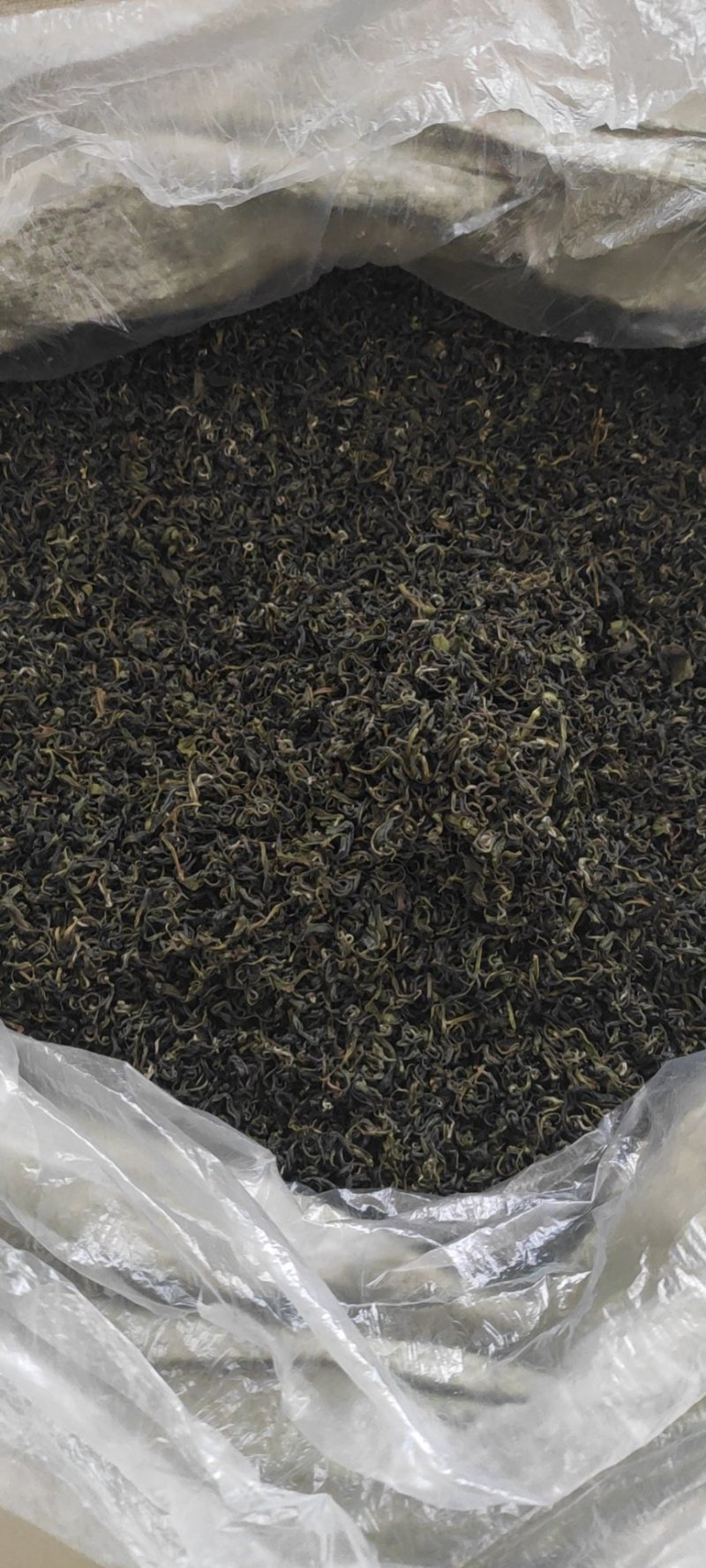 贵州朵贝茶2020新茶一件代发