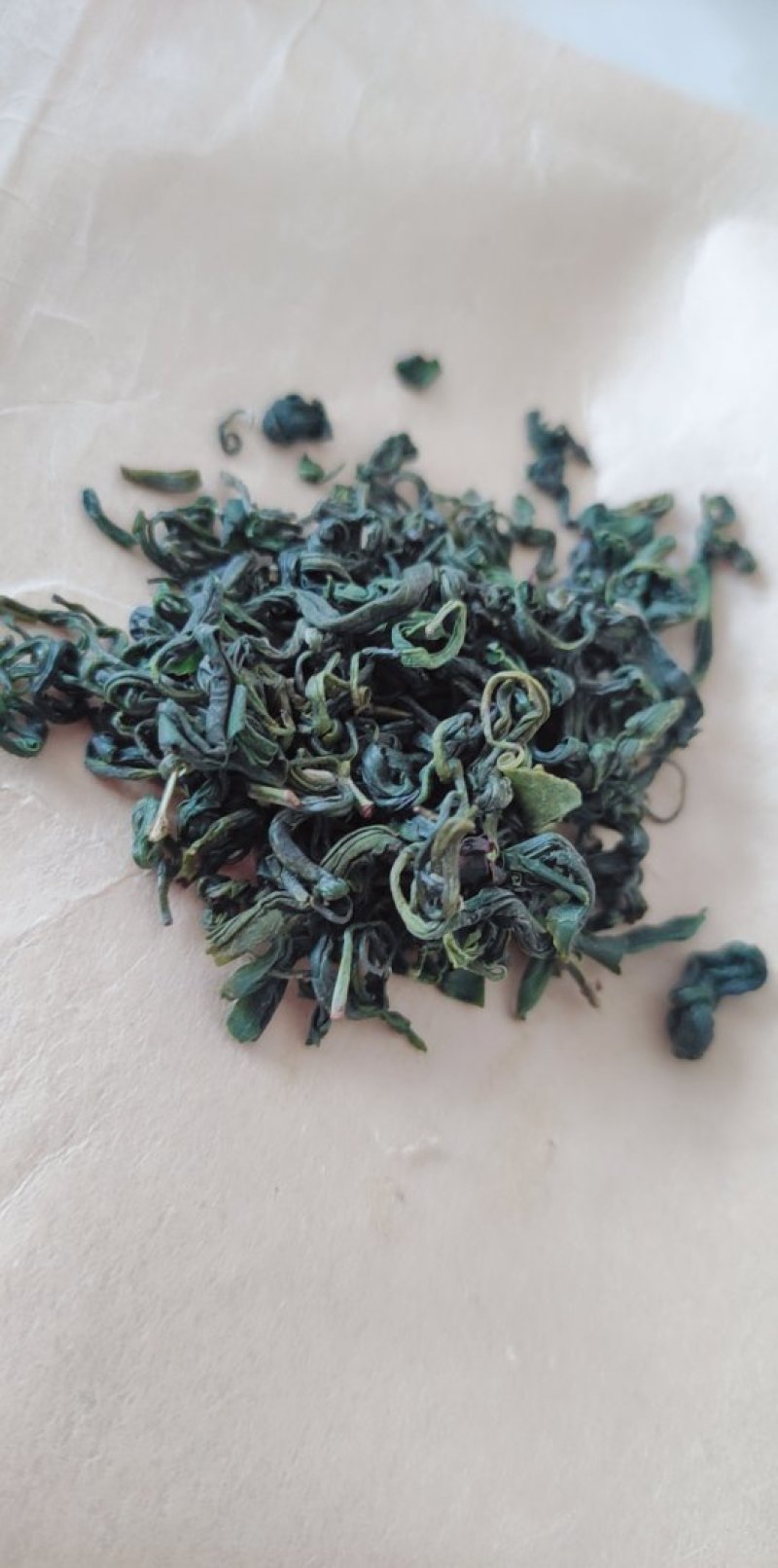 贵州朵贝茶2020新茶一件代发