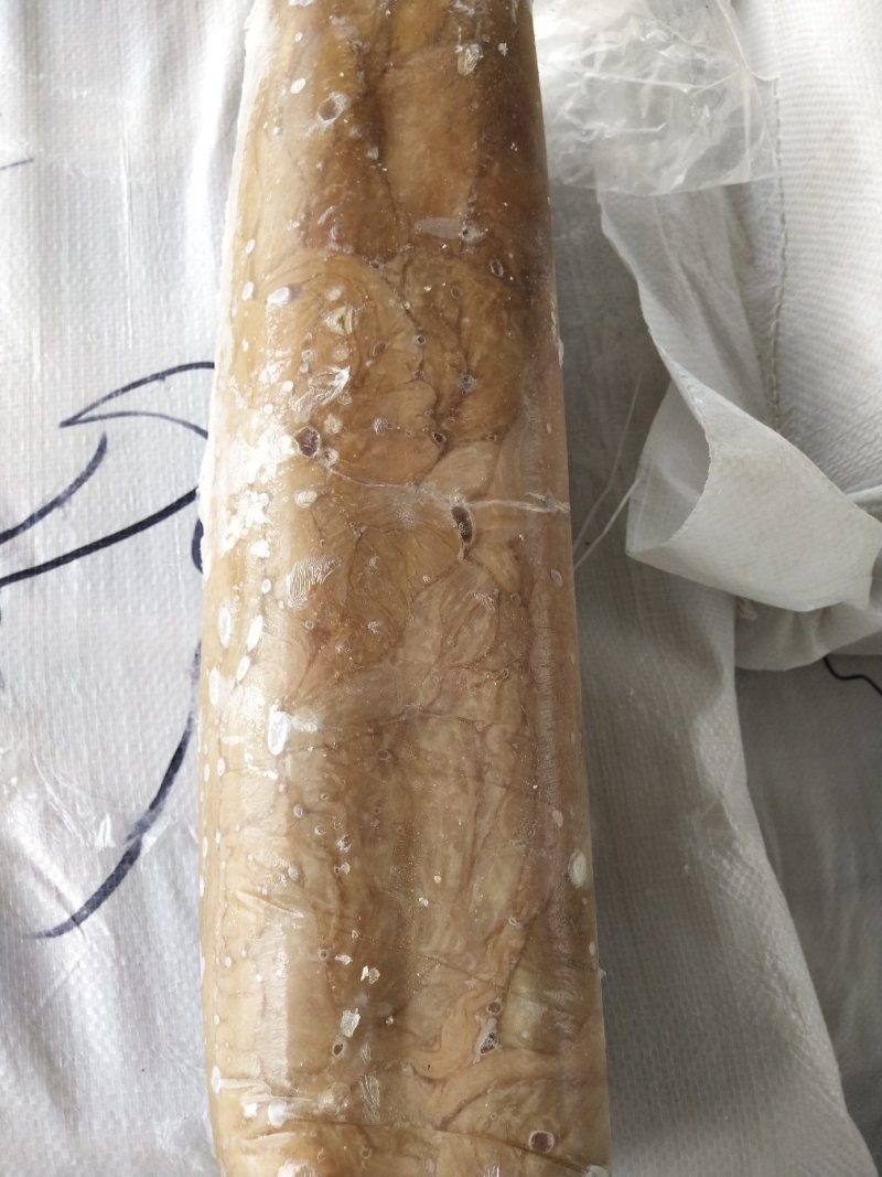 内蒙古锡林郭勒盟羊拐肠，水洗干净，有熟的和半熟的，切丝的
