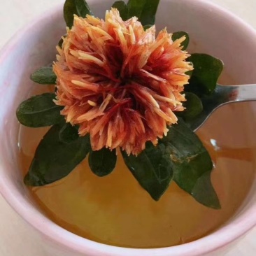 藏红花朵新货红花朵干厂家货源批发量大从优