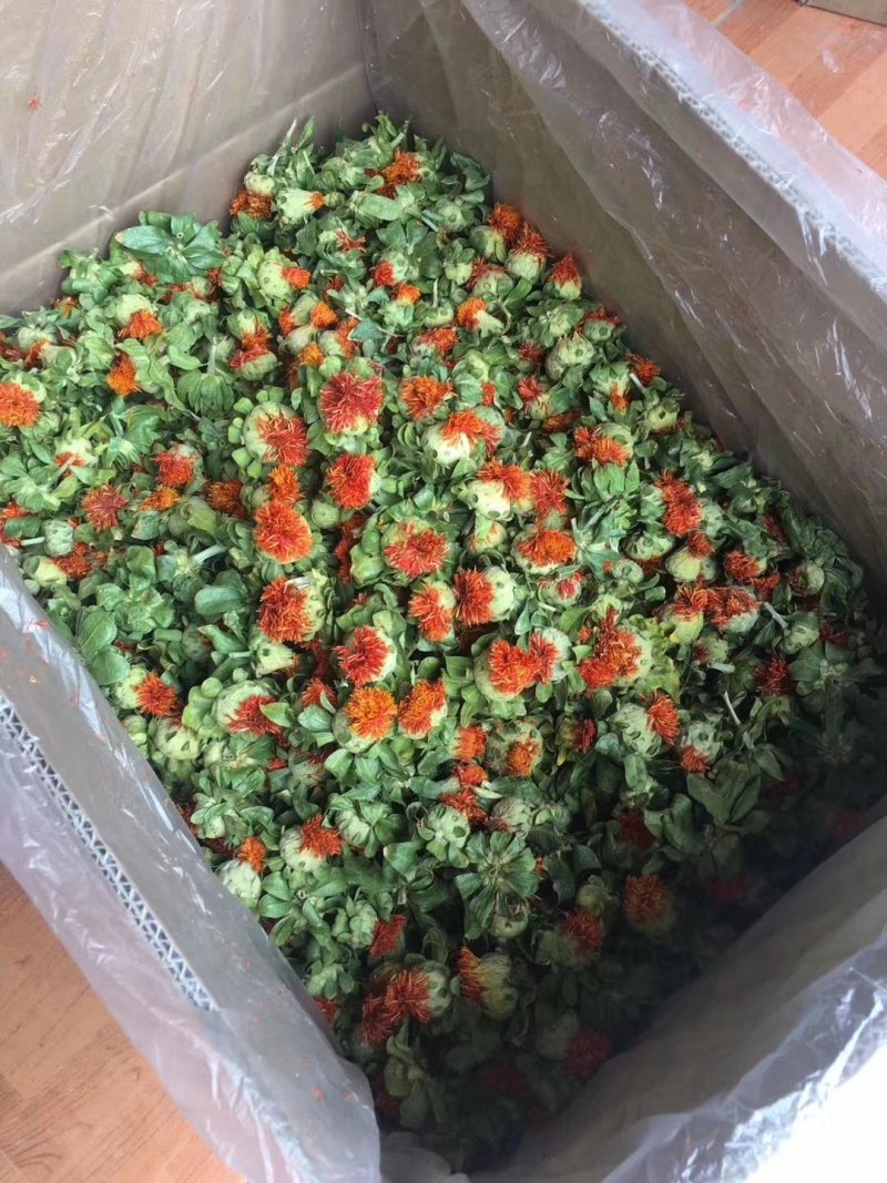 藏红花朵新货红花朵干厂家货源批发量大从优