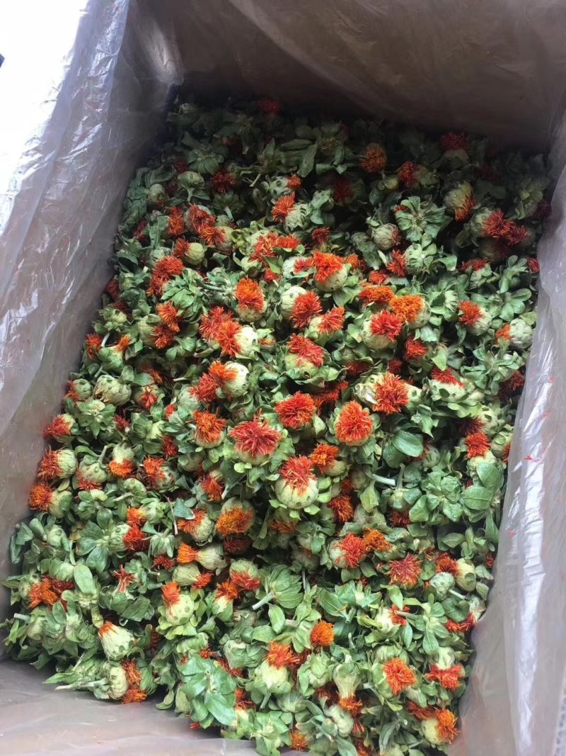 藏红花朵新货红花朵干厂家货源批发量大从优