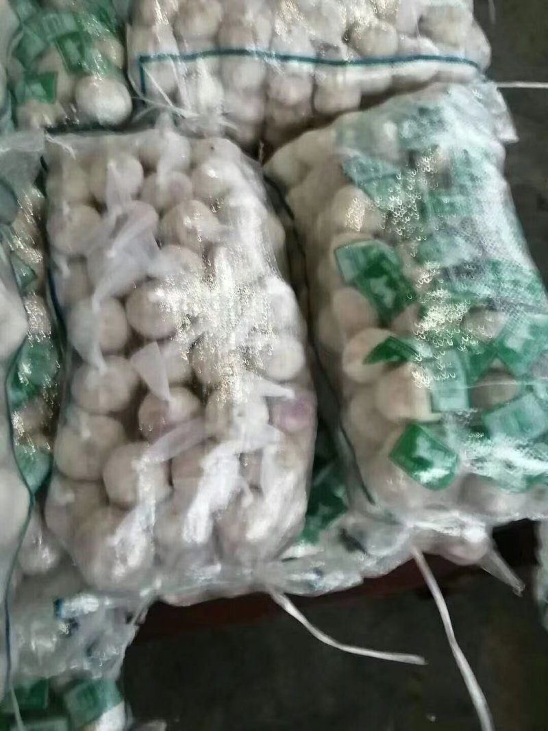 优质大蒜，紫皮大蒜基地直供，农家种植山东精品大蒜