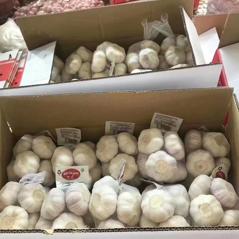 优质大蒜，紫皮大蒜基地直供，农家种植山东精品大蒜