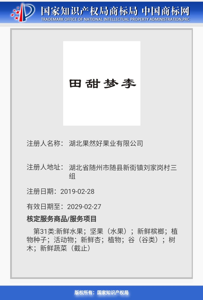 澳洲红肉李千亩李子基地直供免收代办费