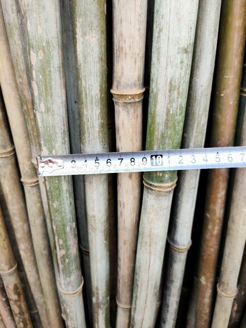 成都厂家批发竹竿黄瓜架番茄架豆角架大鹏架