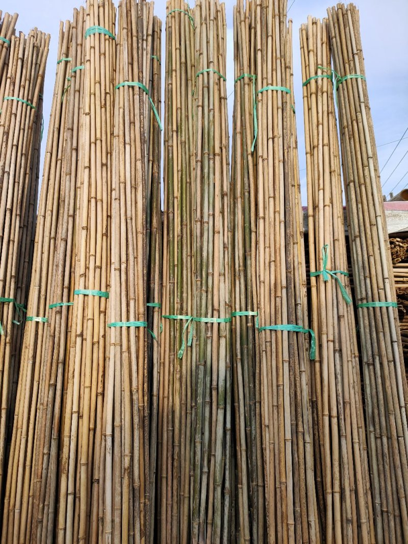 成都厂家批发竹竿黄瓜架番茄架豆角架大鹏架