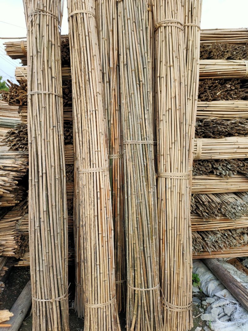 成都厂家批发竹竿黄瓜架番茄架豆角架大鹏架