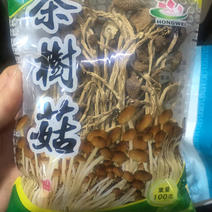 江西茶树菇100克