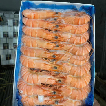 熟冻黑虎虾。一手厂家直销