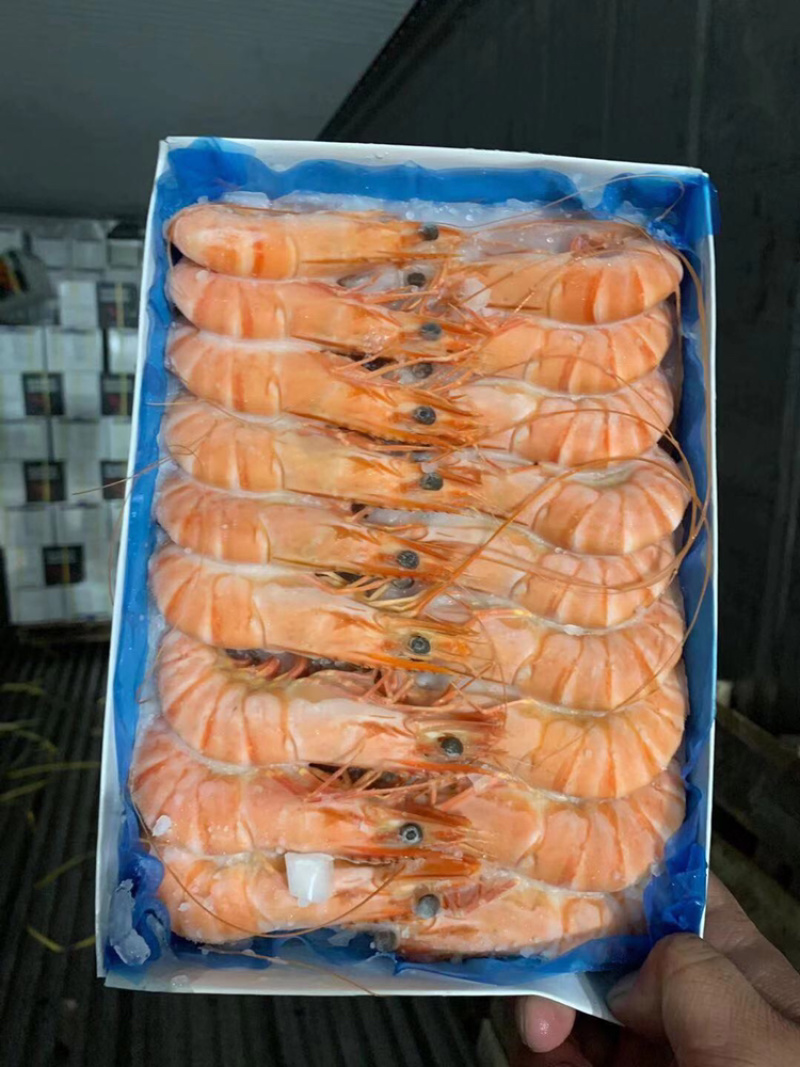 熟冻黑虎虾。一手厂家直销