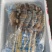 鱿鱼板串整条180g*50串阿根廷轰炸大鱿鱼苏浙沪皖包邮