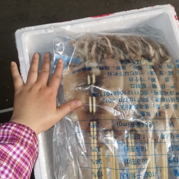 鱿鱼板串整条180g*50串阿根廷轰炸大鱿鱼苏浙沪皖包邮