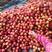 精品油桃中油4万亩基地口感脆甜对接电商超市批发市场