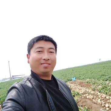 绥中县中署土豆，荷兰，三两起步，两毛，帮老百姓卖卖土豆