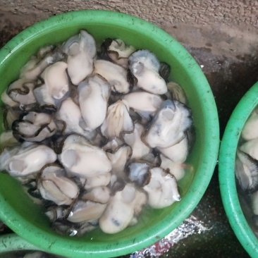 本港耗肉规格都有保质保量
