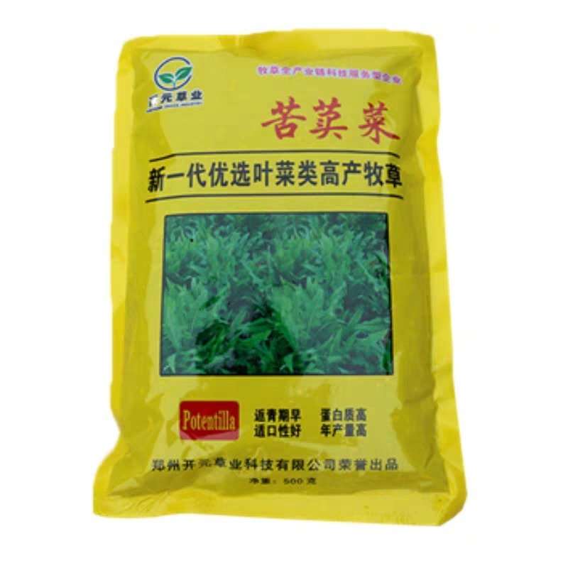 苦荬菜种籽四季多年生将军菊苣草种养殖牛羊鸡鹅兔猪