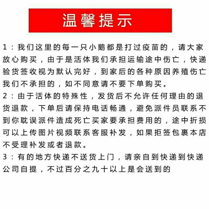 贵妃鸡正宗脱温贵妃鸡贵妃鸡苗大厂家质量好有保障防疫全