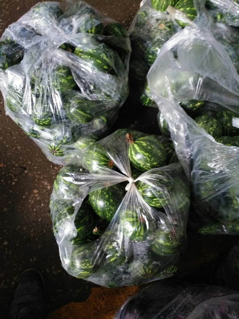 小南瓜吊南瓜湖南浏阳精品小吊南瓜口感香翠