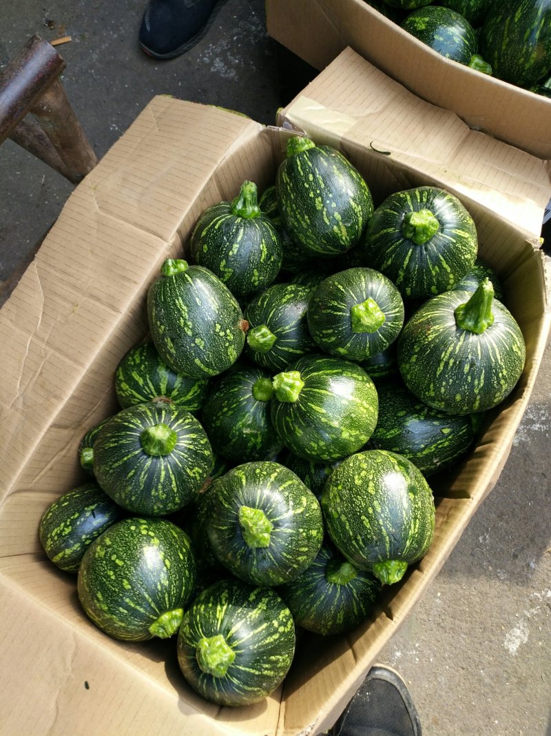 小南瓜吊南瓜湖南浏阳精品小吊南瓜口感香翠