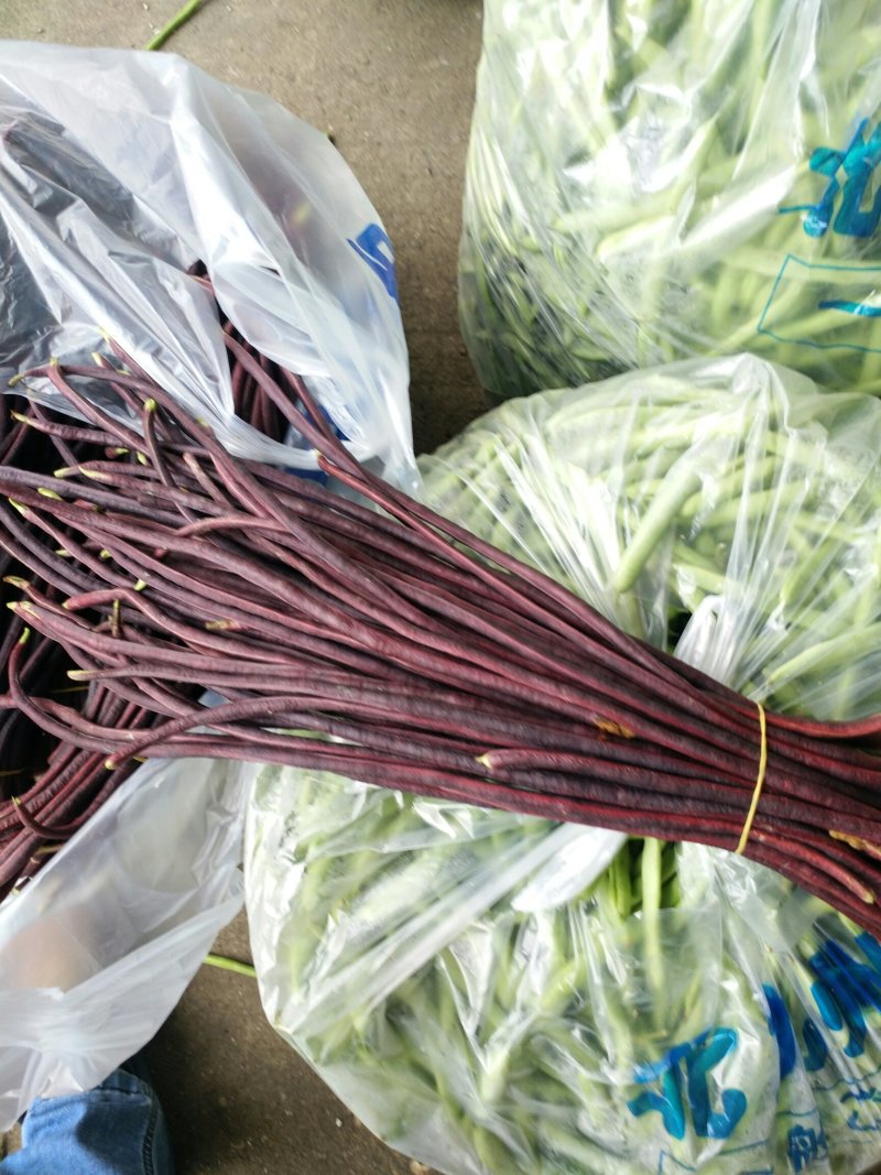 紫豆角红豆角湖南浏阳特有精品红豆角口感清翠香甜