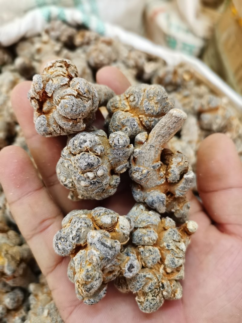 云南文山三七选装40头30头20头各规格，免费帮打粉