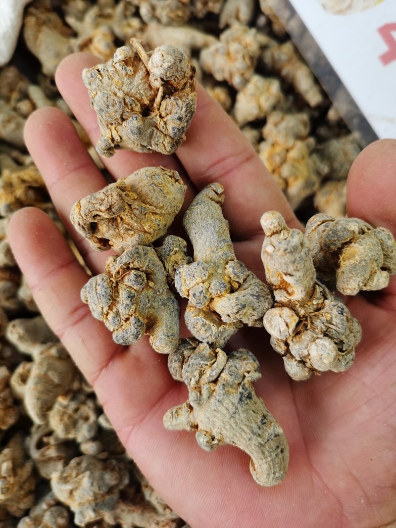 云南文山三七选装40头30头20头各规格，免费帮打粉