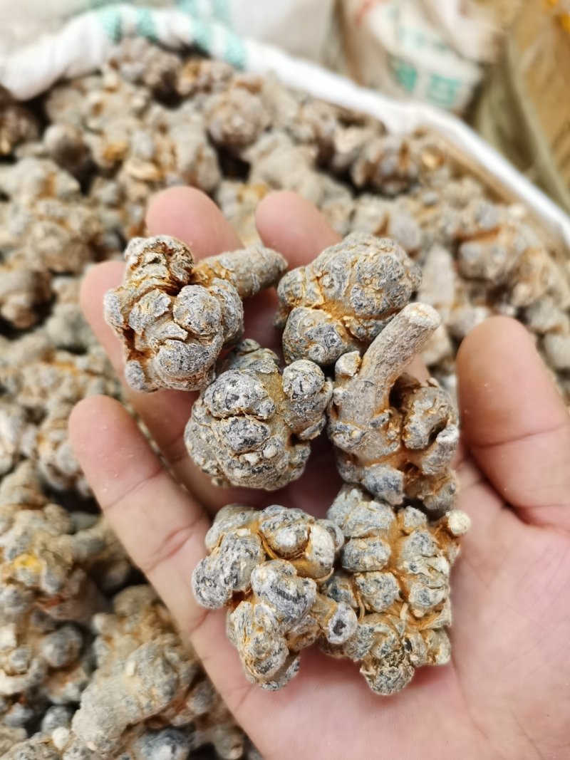 云南文山三七选装40头30头20头各规格，免费帮打粉