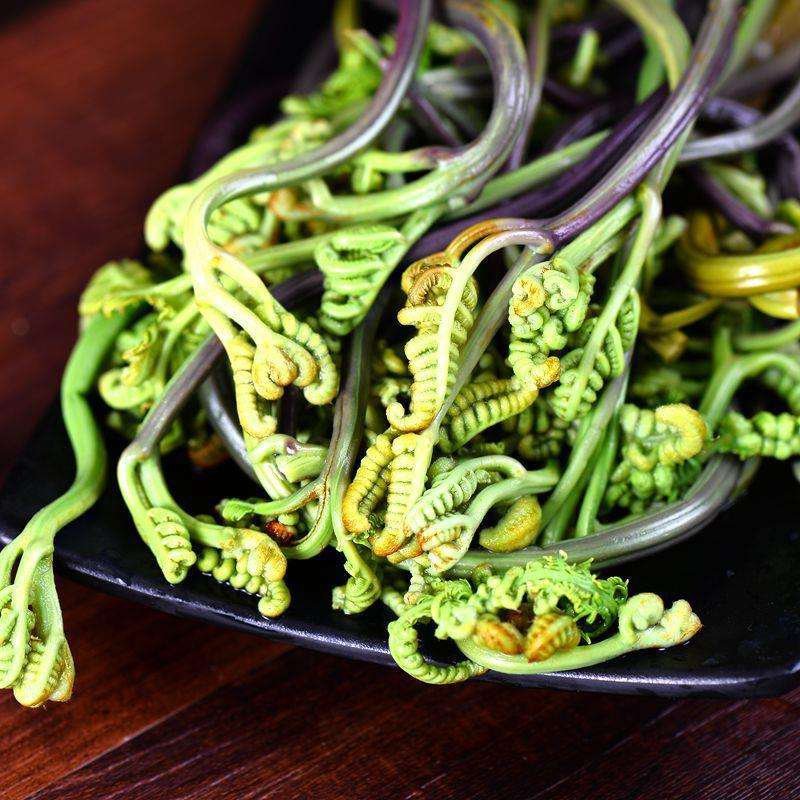 蕨菜