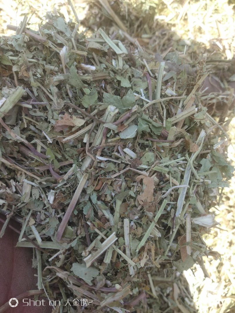 花生秧