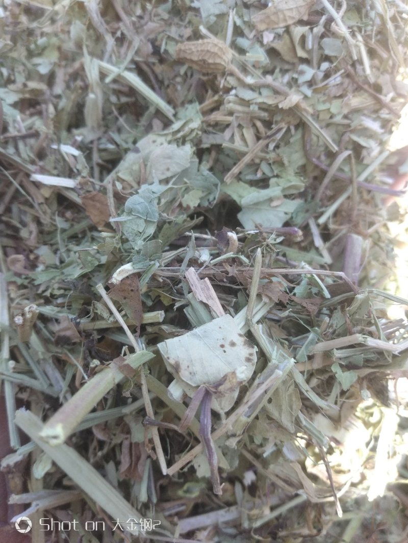 花生秧