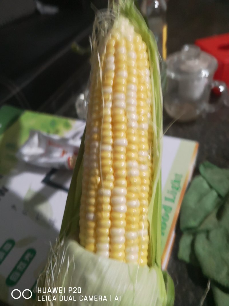 白不老豆角