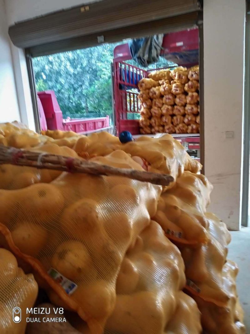 奶油南瓜，口感好，干，面，甜，瓜形美，皮薄肉厚，产地直供