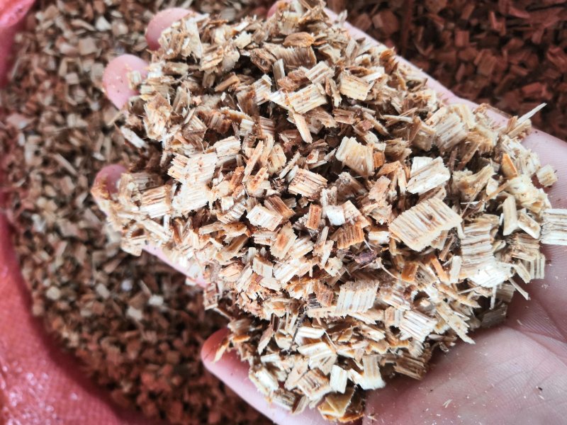 香菇木屑，科木枫木等阔叶林